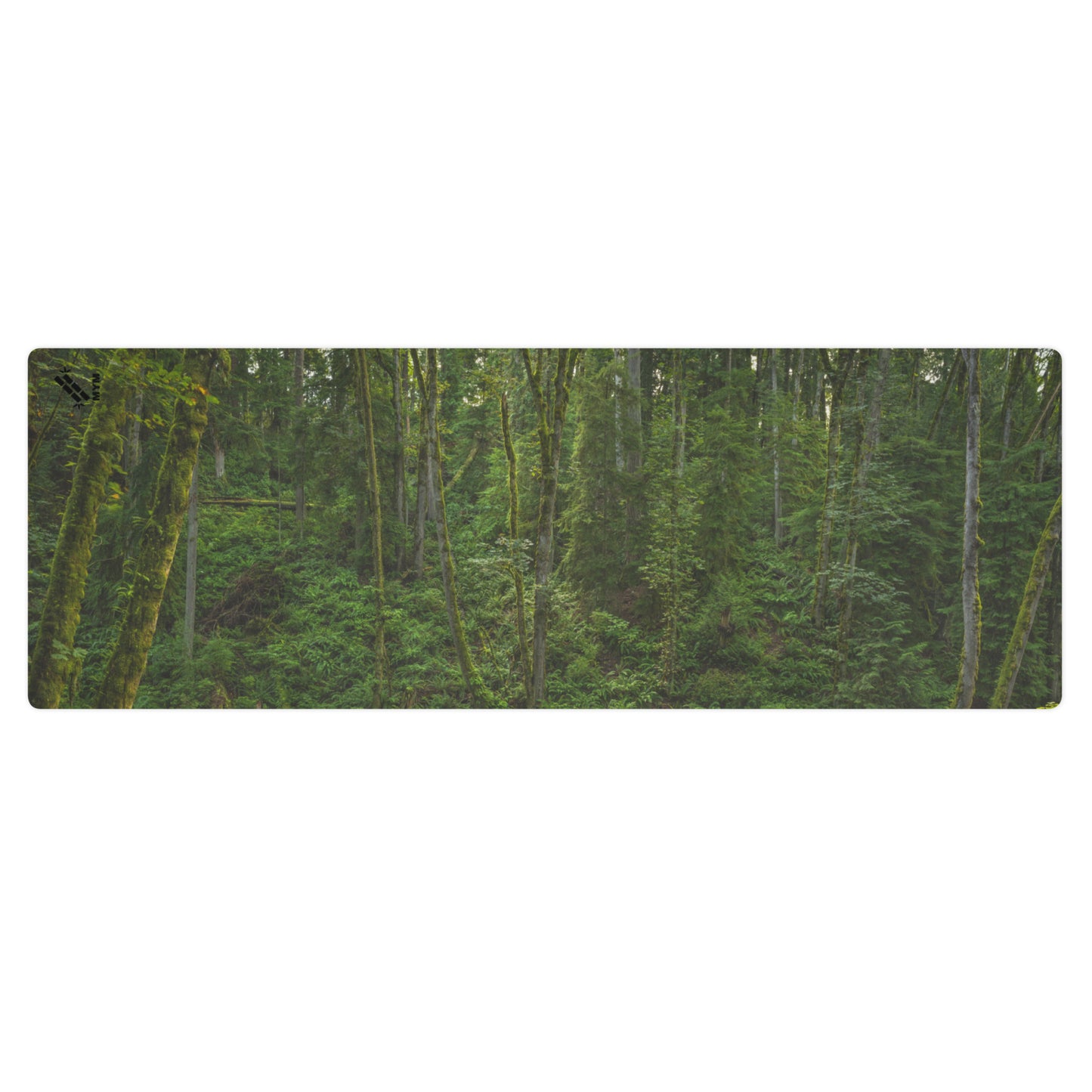 Forest Bathing